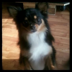 Meet your Posher, Valerie